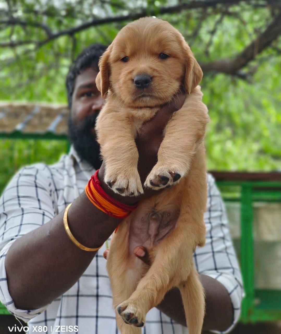 2247e2f4-b91c-4b2d-95af-3dabd4ce58d4