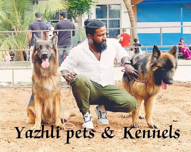 ebbd3e8b-292a-4e22-b9c3-7d3070d86bde