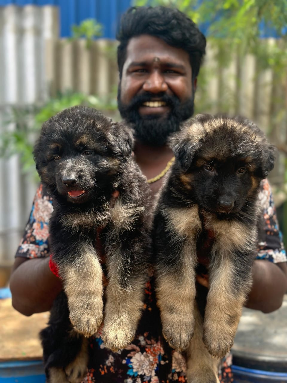 fbc0deae-8cb8-452d-95e8-cf0b0dd5220c